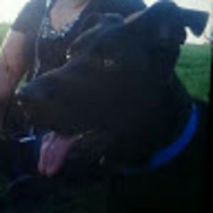 Meet your Posher, Karlamendoza